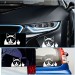 Наклейка на автомобиль Сварливый кот (Наглый кот)