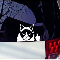 Стикер на стекло автомобиля Наглый Кот